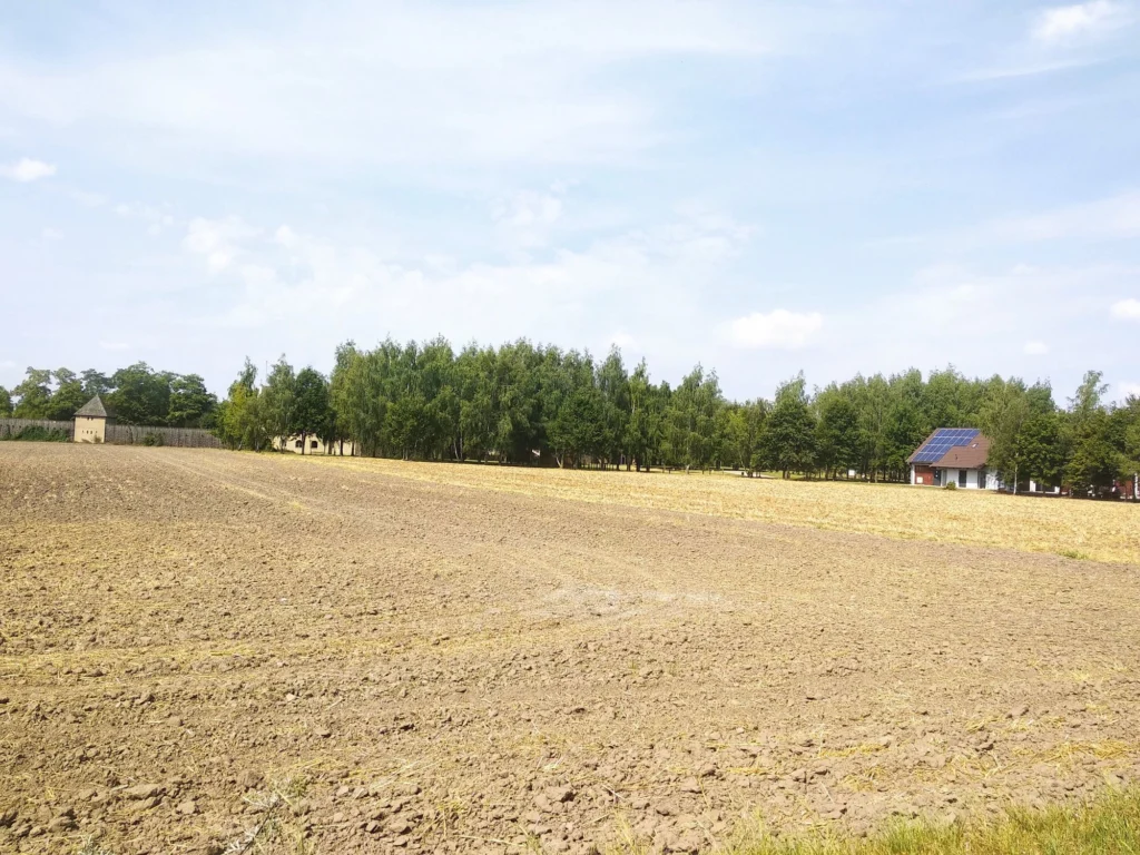 Widok na puste pole. Po lewej w oddali widoczny skansen. Po prawej zwykły dom z panelami fotowoltaicznymi na dachu.